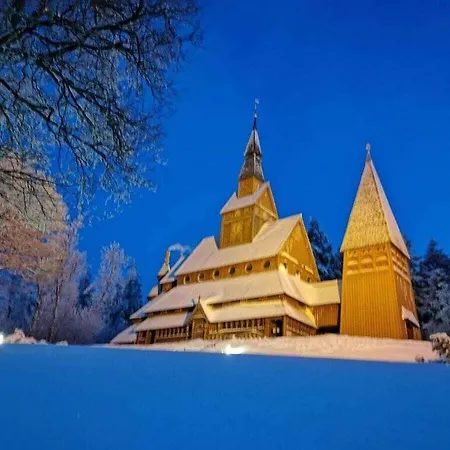 Tatil Evi Fireplace - Happy Harz Goslar