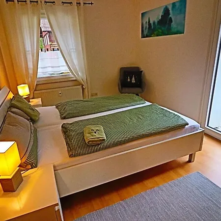 Tatil Evi Fireplace - Happy Harz Goslar