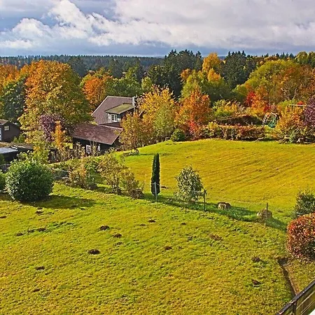 Tatil Evi Fireplace - Happy Harz